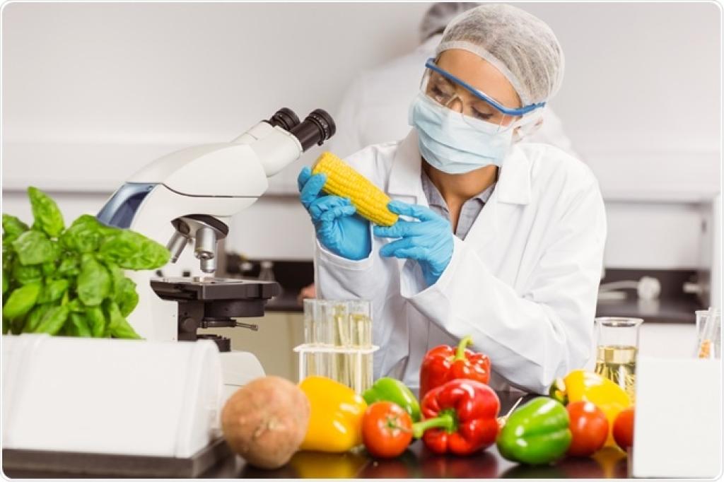 Reverse Engineering in the Food Industry